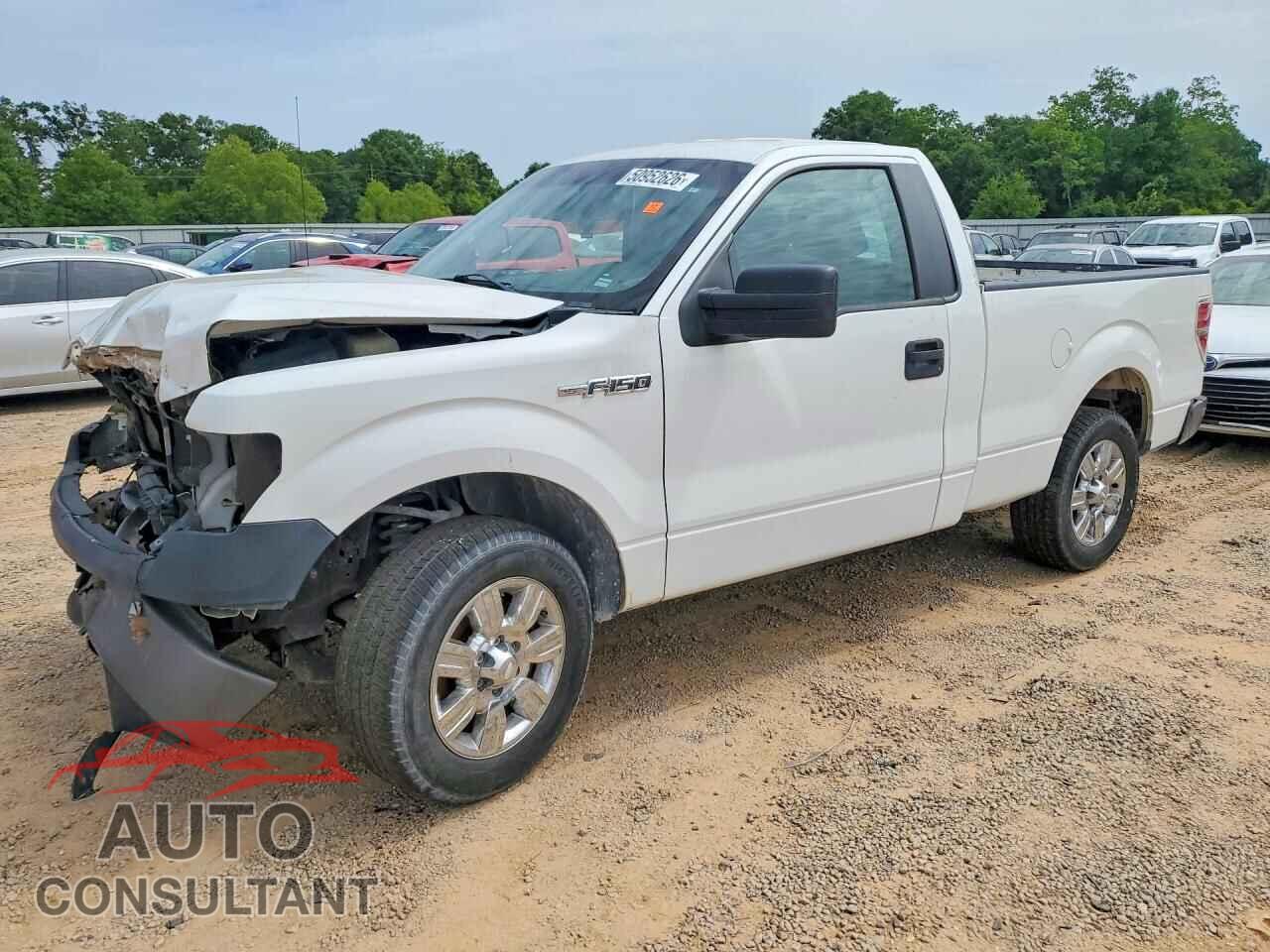 FORD F150 2013 - 1FTMF1CM7DFD30435
