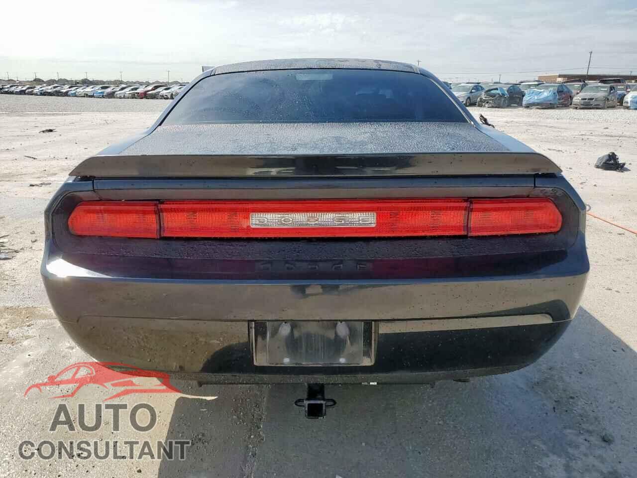 DODGE CHALLENGER 2010 - 2B3CJ4DV3AH219573