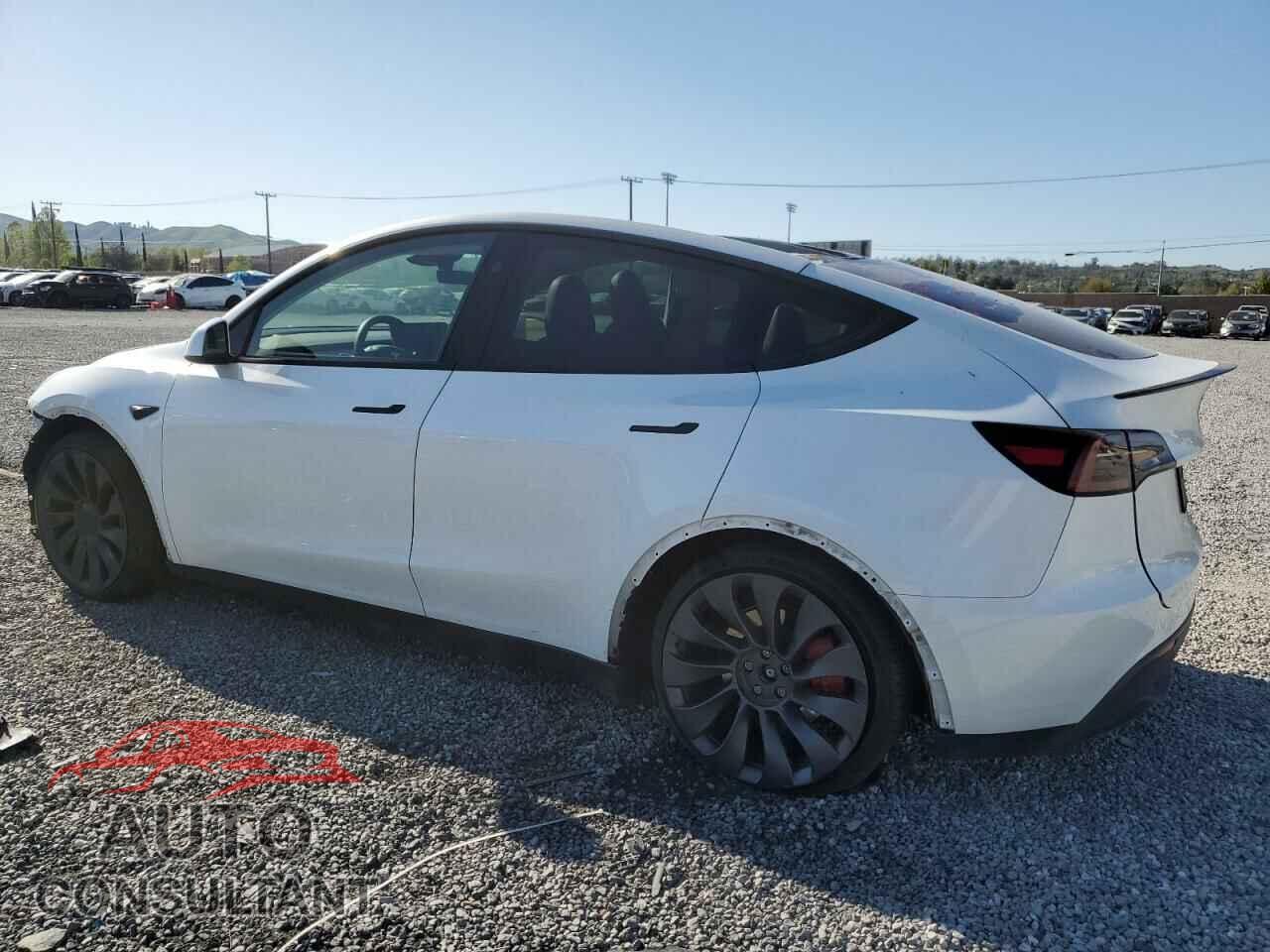 TESLA MODEL Y 2024 - 7SAYGDEF2RF061404