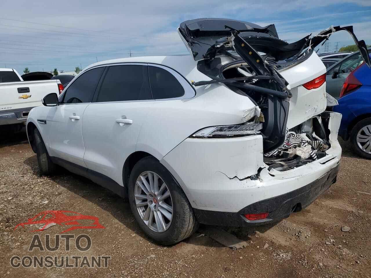 JAGUAR F-PACE 2019 - SADCK2GX8KA609232