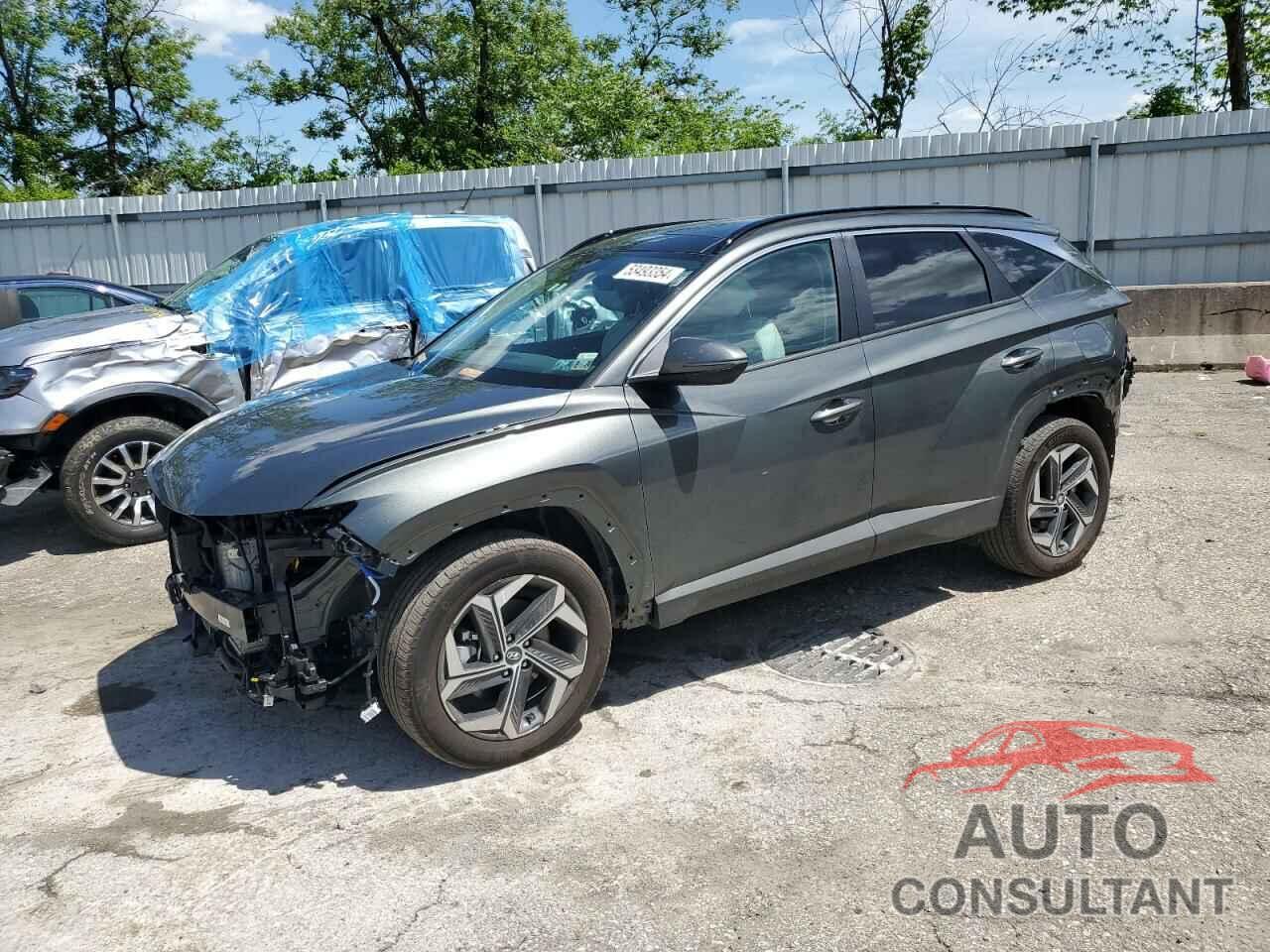 HYUNDAI TUCSON 2024 - KM8JCCD18RU146728