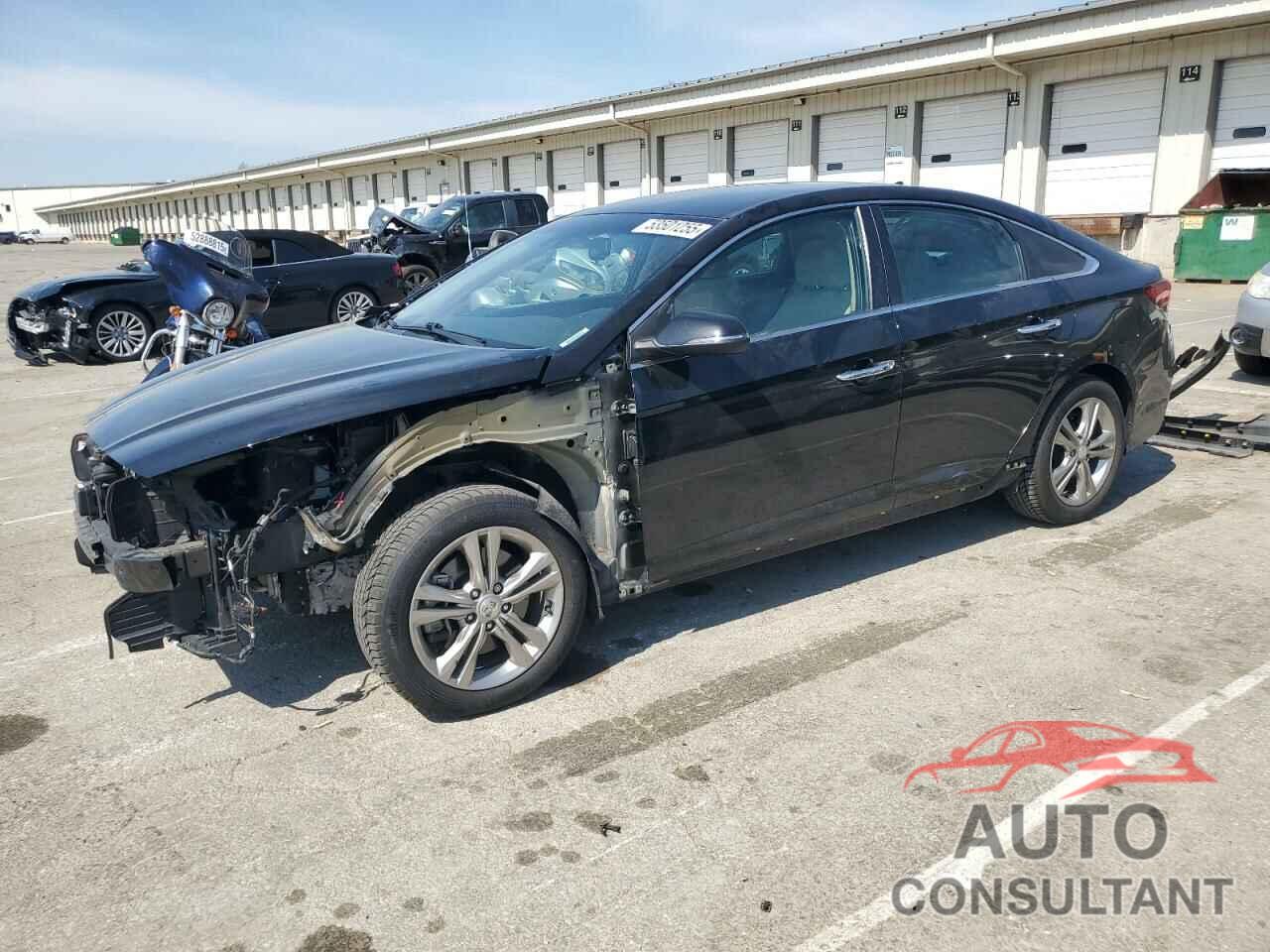 HYUNDAI SONATA 2019 - 5NPE34AF1KH811769