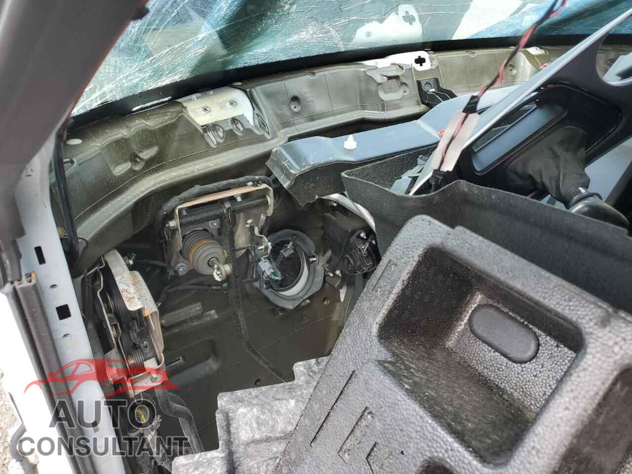 DODGE CHALLENGER 2019 - 2C3CDZFJ5KH534989