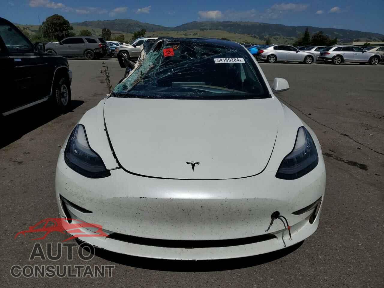 TESLA MODEL 3 2020 - 5YJ3E1EA5LF632021