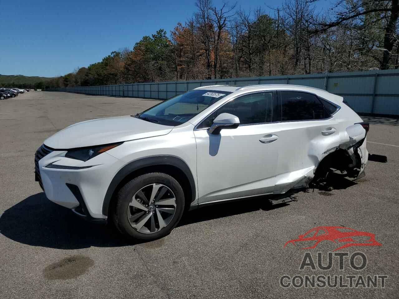 LEXUS NX 2020 - JTJGARDZ6L5012635