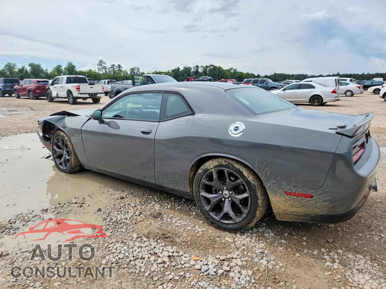 DODGE CHALLENGER 2019 - 2C3CDZBT8KH530099