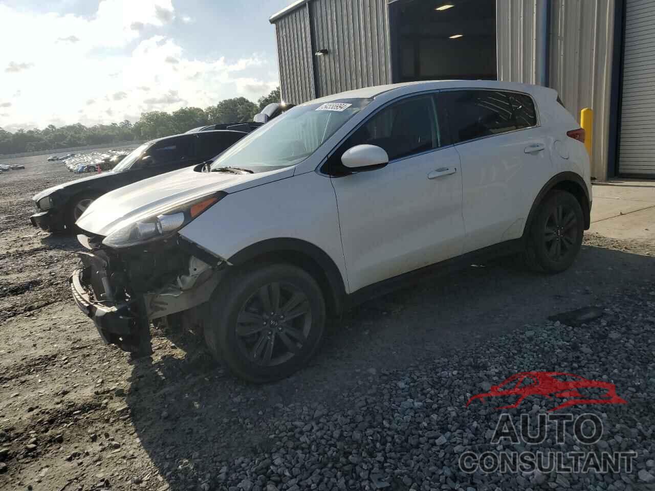 KIA SPORTAGE 2019 - KNDPM3AC3K7575250