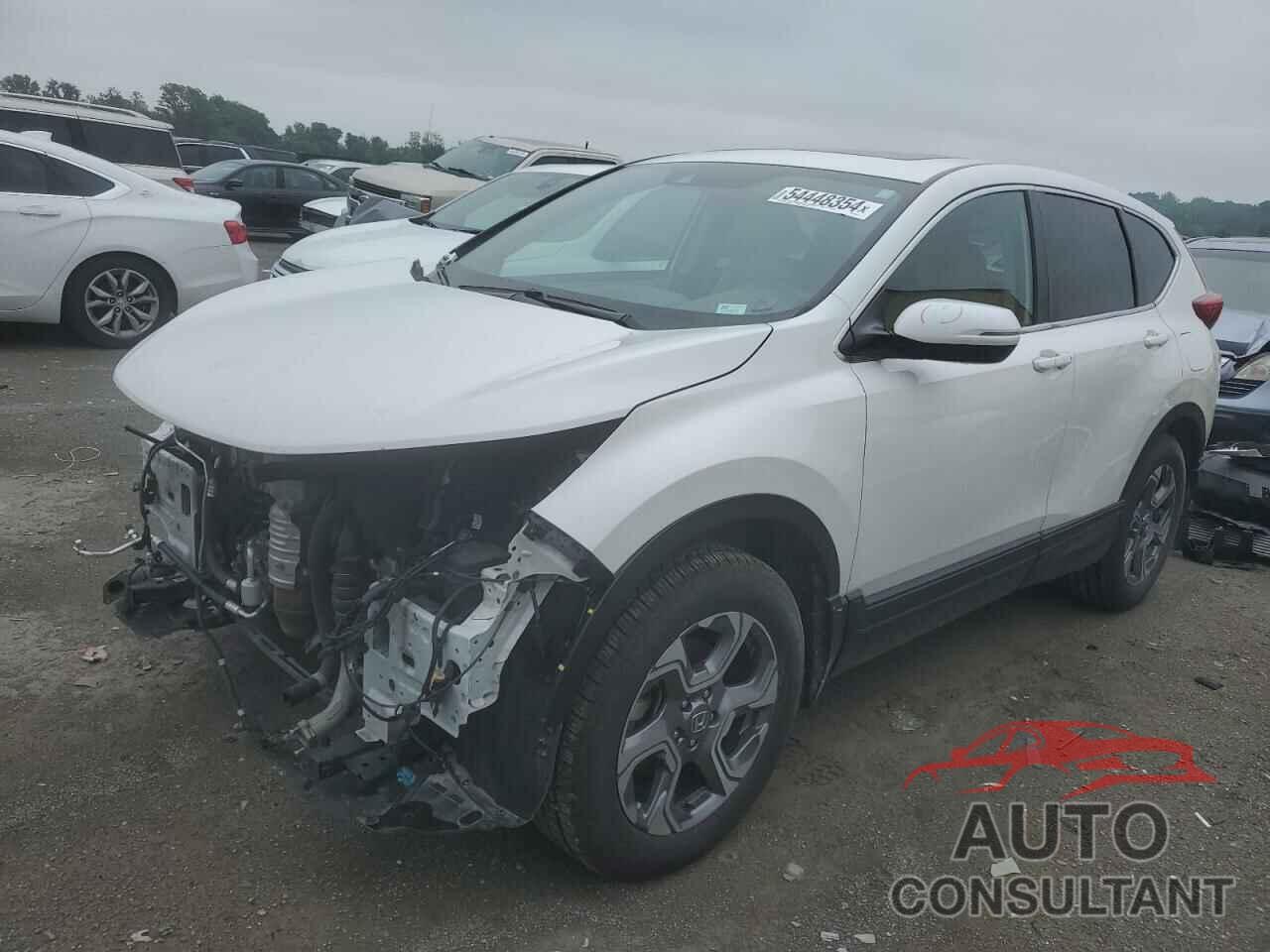 HONDA CRV 2019 - 5J6RW2H55KL031631
