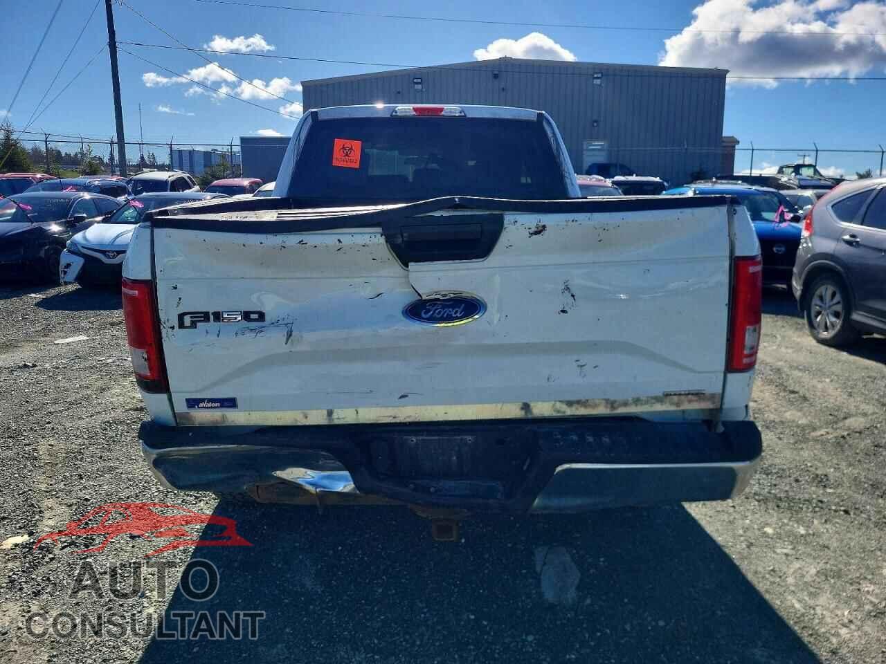 FORD F150 2015 - 1FTFX1EF5FFA63545