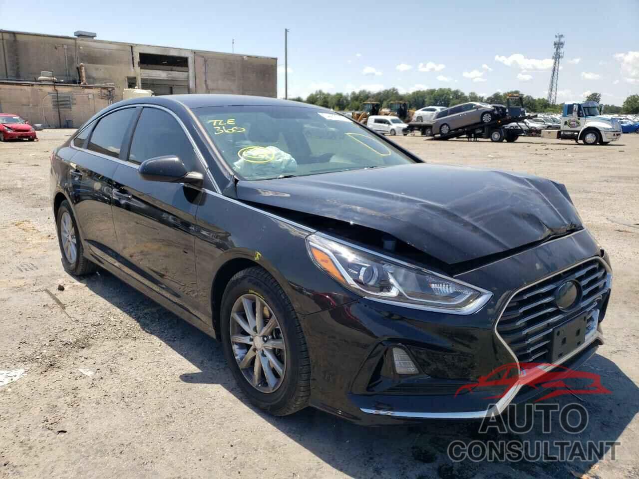 HYUNDAI SONATA 2019 - 5NPE24AF9KH744311