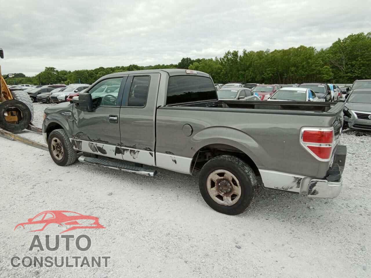 FORD F-150 2012 - 1FTFX1CF3CFC01789