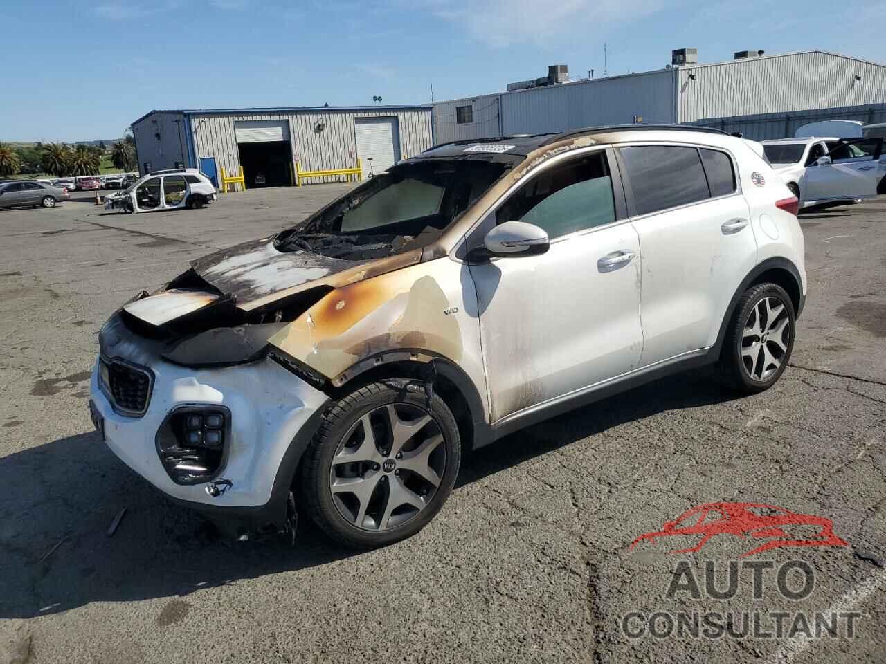 KIA SPORTAGE 2018 - KNDPRCA66J7448888