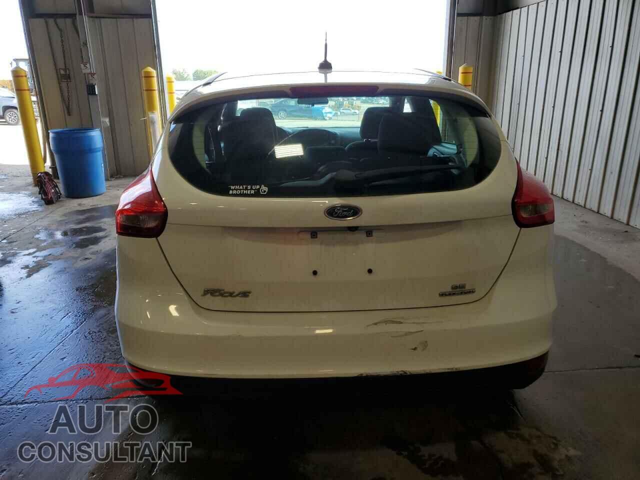 FORD FOCUS 2016 - 1FADP3K22GL213544