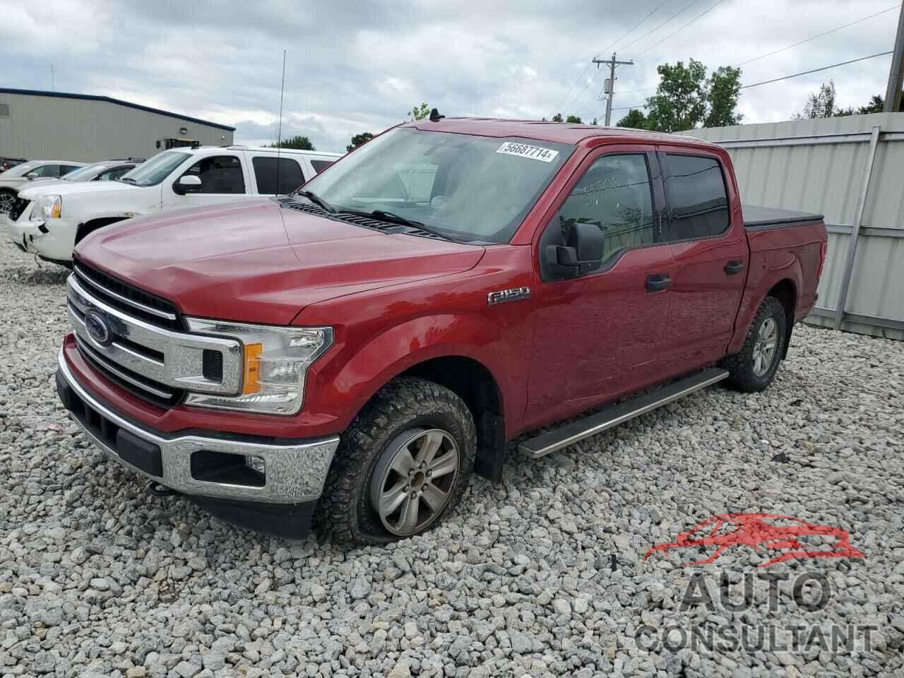 FORD F-150 2019 - 1FTEW1EPXKKC55505