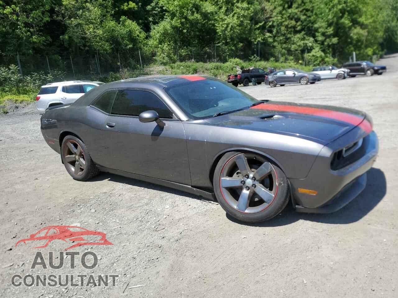 DODGE CHALLENGER 2014 - 2C3CDYAGXEH239154