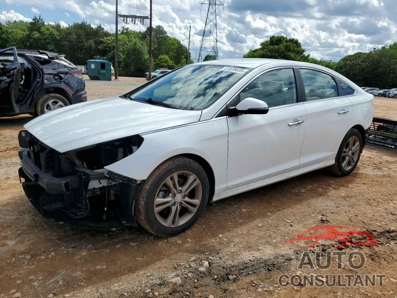 HYUNDAI SONATA 2019 - 5NPE34AF4KH743029