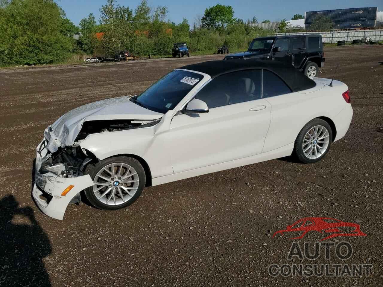 BMW 2 SERIES 2015 - WBA1K5C51FV474079