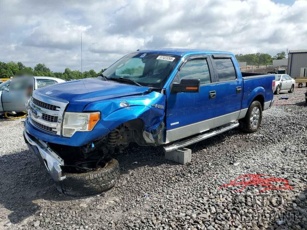 FORD F-150 2013 - 1FTFW1CT7DFD62642