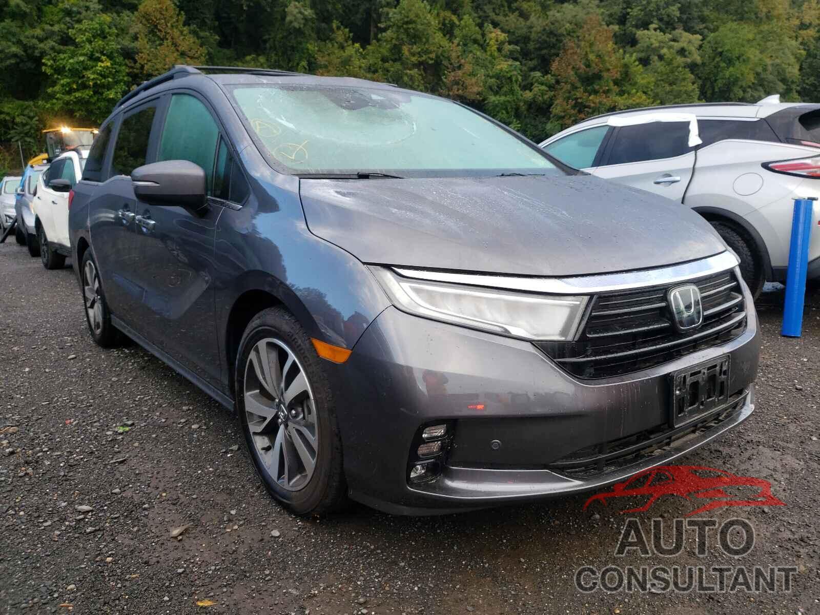 HONDA ODYSSEY 2021 - 5FNRL6H81MB029591