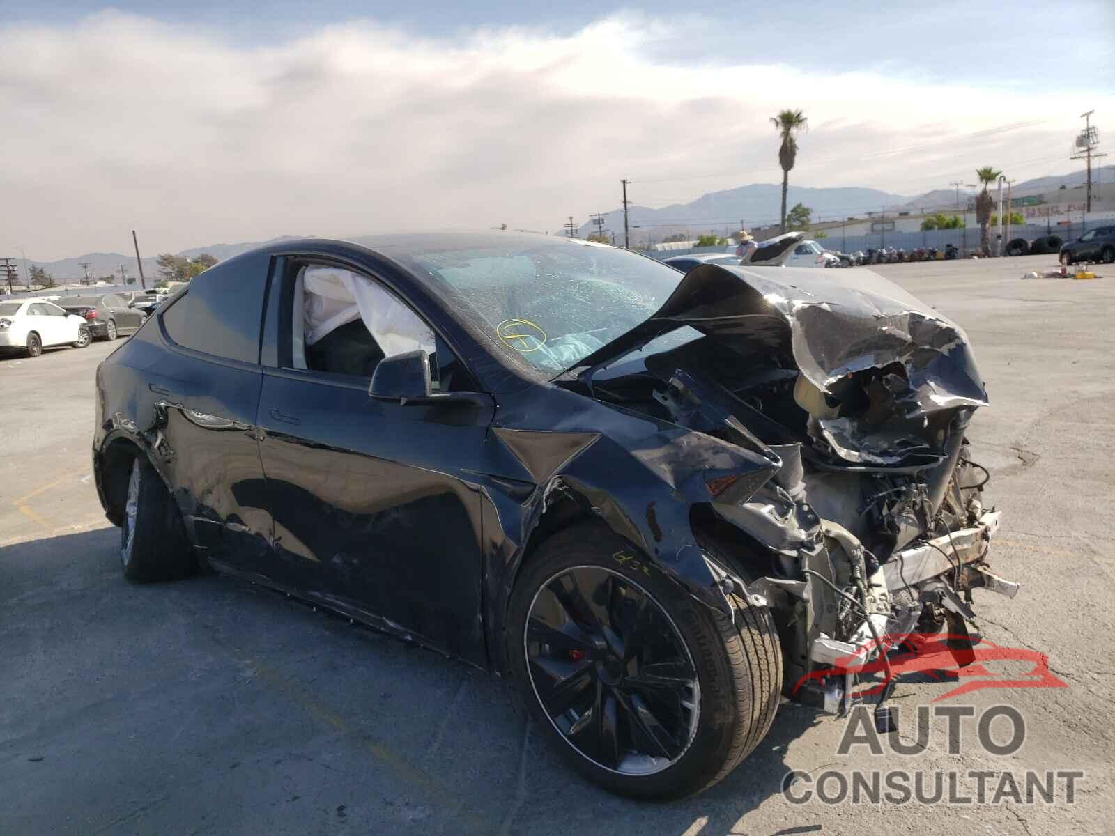 TESLA MODEL Y 2021 - 5YJYGDEE3MF091556