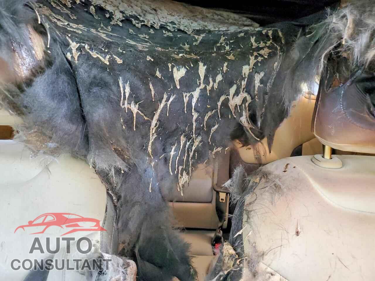 JEEP COMPASS 2020 - 3C4NJDBB0LT247910