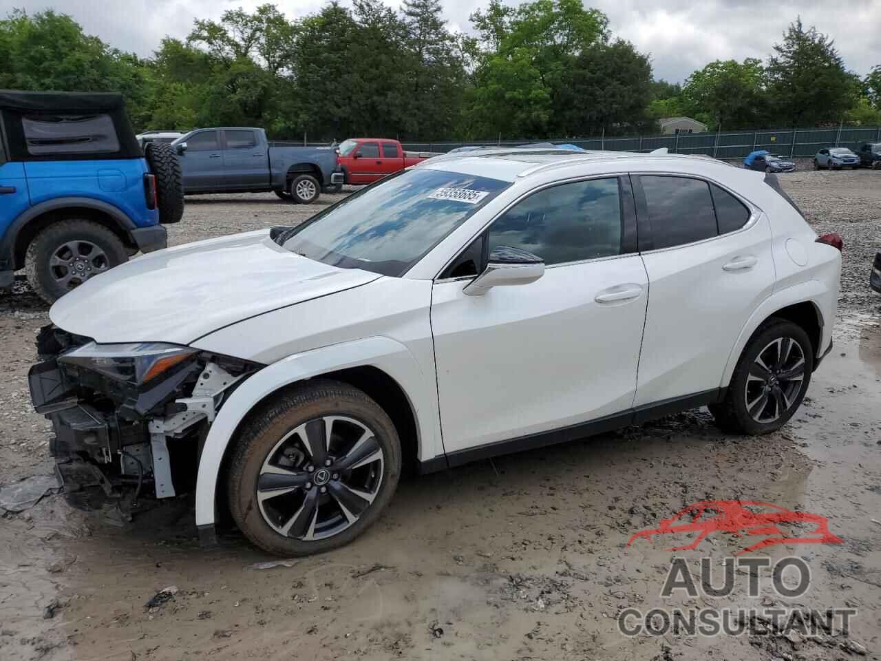LEXUS UX 250H PR 2024 - JTHP6JBH9R2183792
