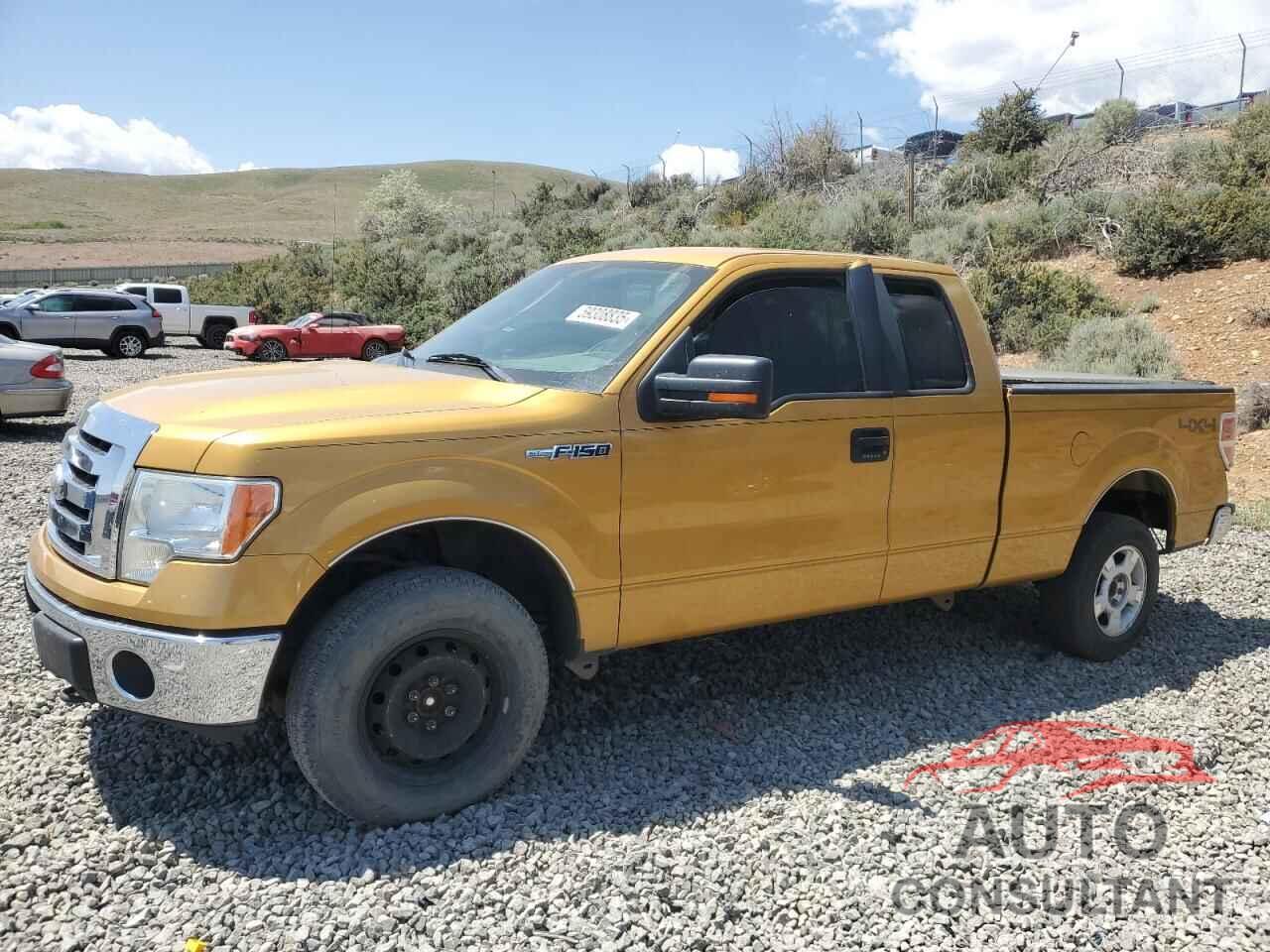 FORD F-150 2009 - 1FTPX14V59KB87937