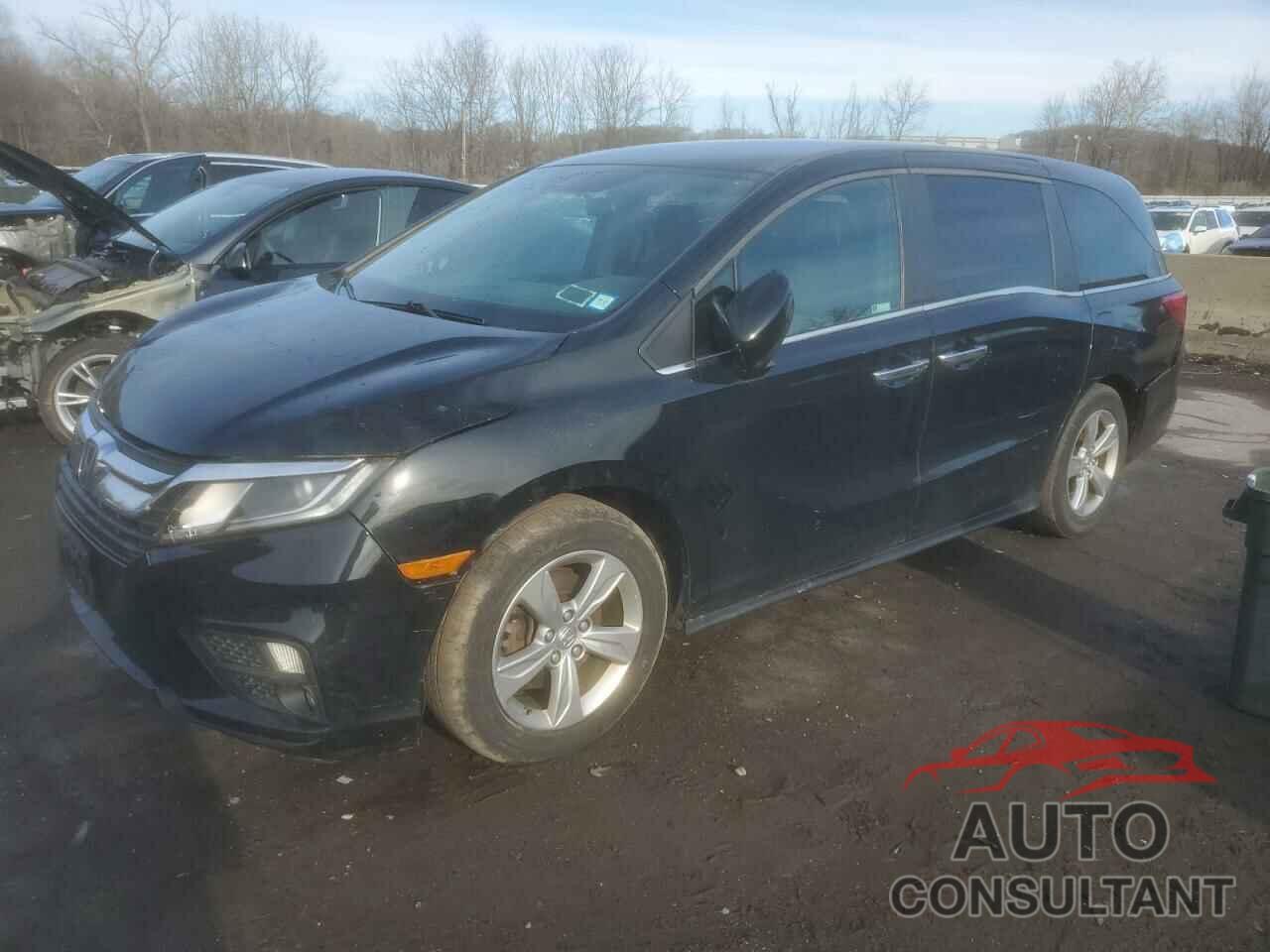HONDA All Models 2019 - 5FNRL6H56KB058099