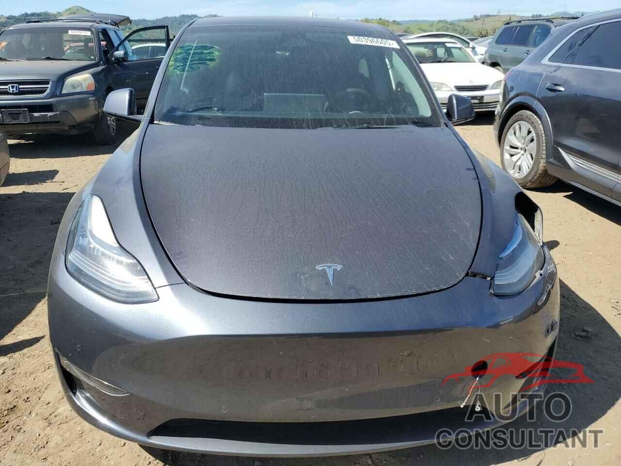TESLA MODEL Y 2022 - 7SAYGDEE2NF402320