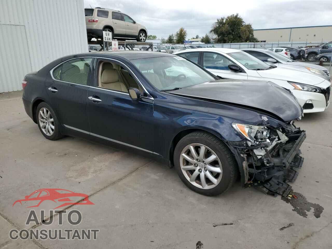 LEXUS LS460 2009 - JTHBL46FX95086953