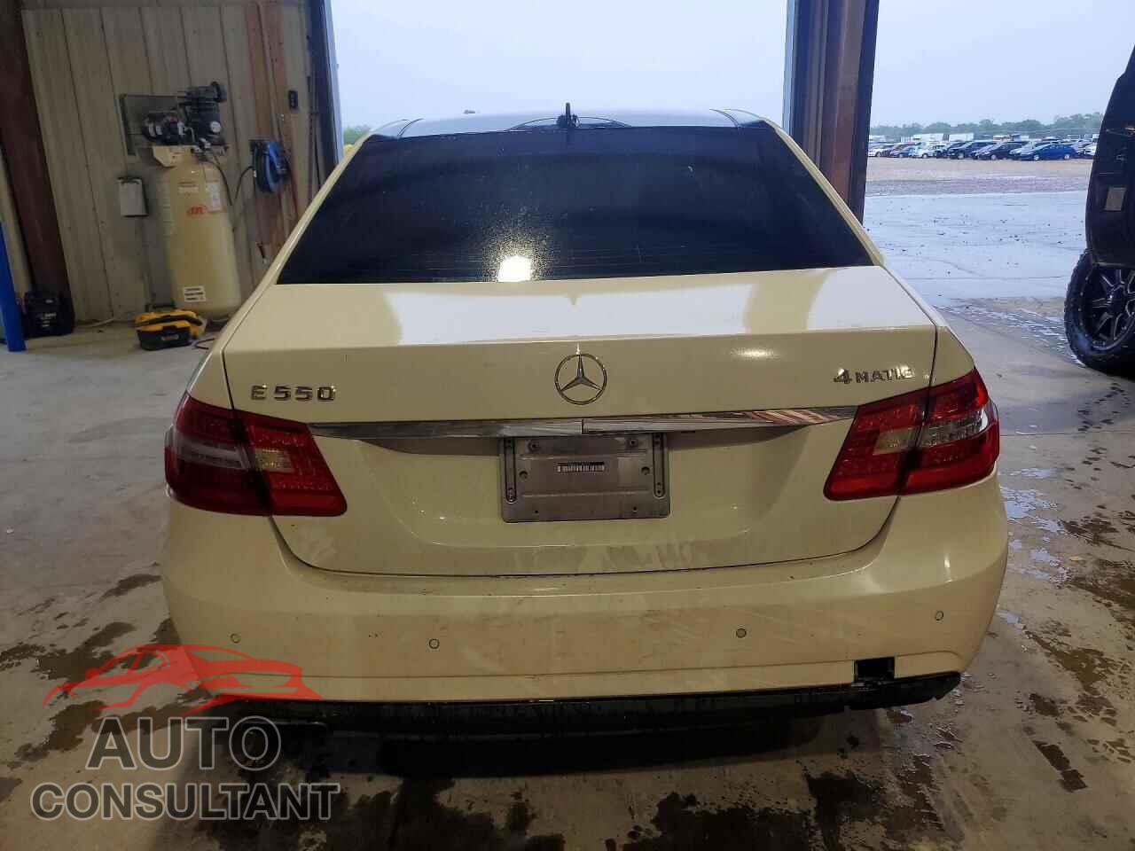 MERCEDES-BENZ E-CLASS 2010 - WDDHF9AB4AA236643