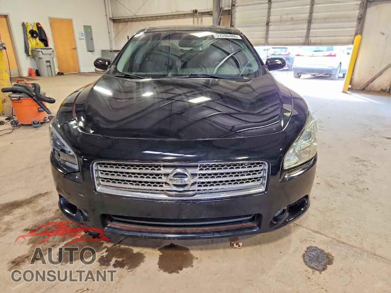 NISSAN MAXIMA 2009 - 1N4AA51E99C859761