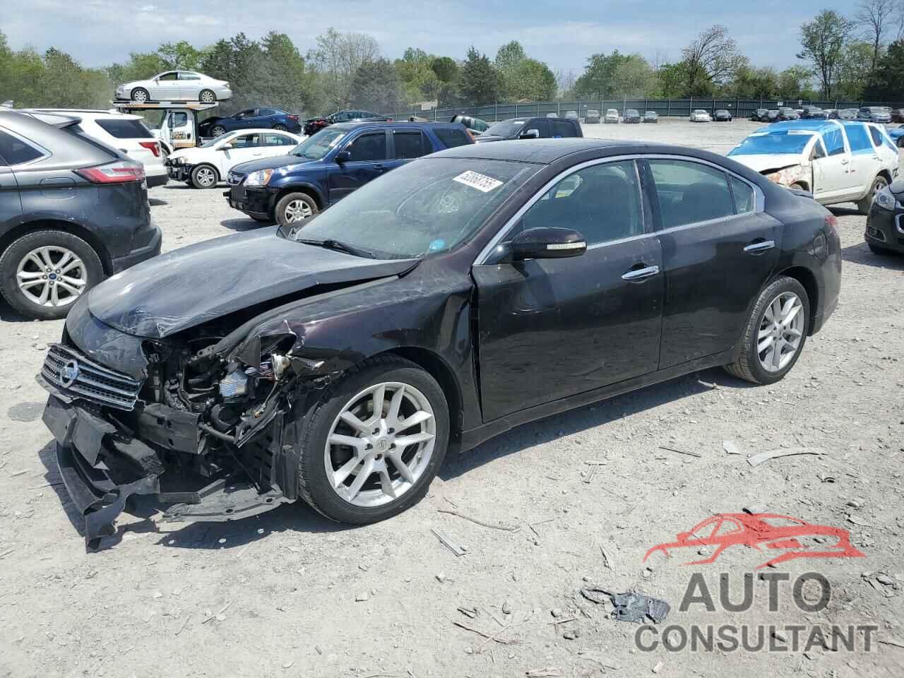 NISSAN MAXIMA 2011 - 1N4AA5AP8BC808856