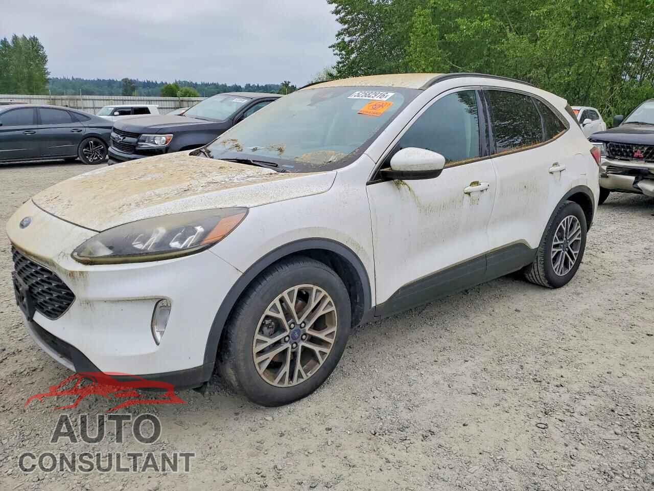 FORD ESCAPE 2020 - 1FMCU0H69LUA81308