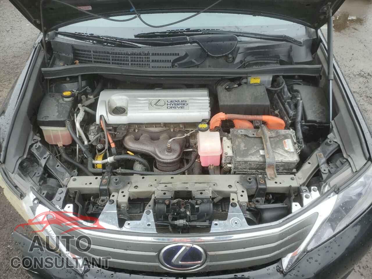 LEXUS HS 2011 - JTHBB1BA5B2044855