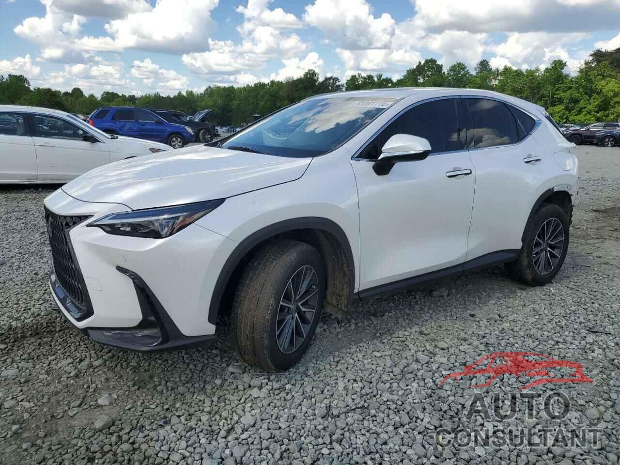 LEXUS NX 250 PRE 2024 - JTJGDCAZ6R5016833