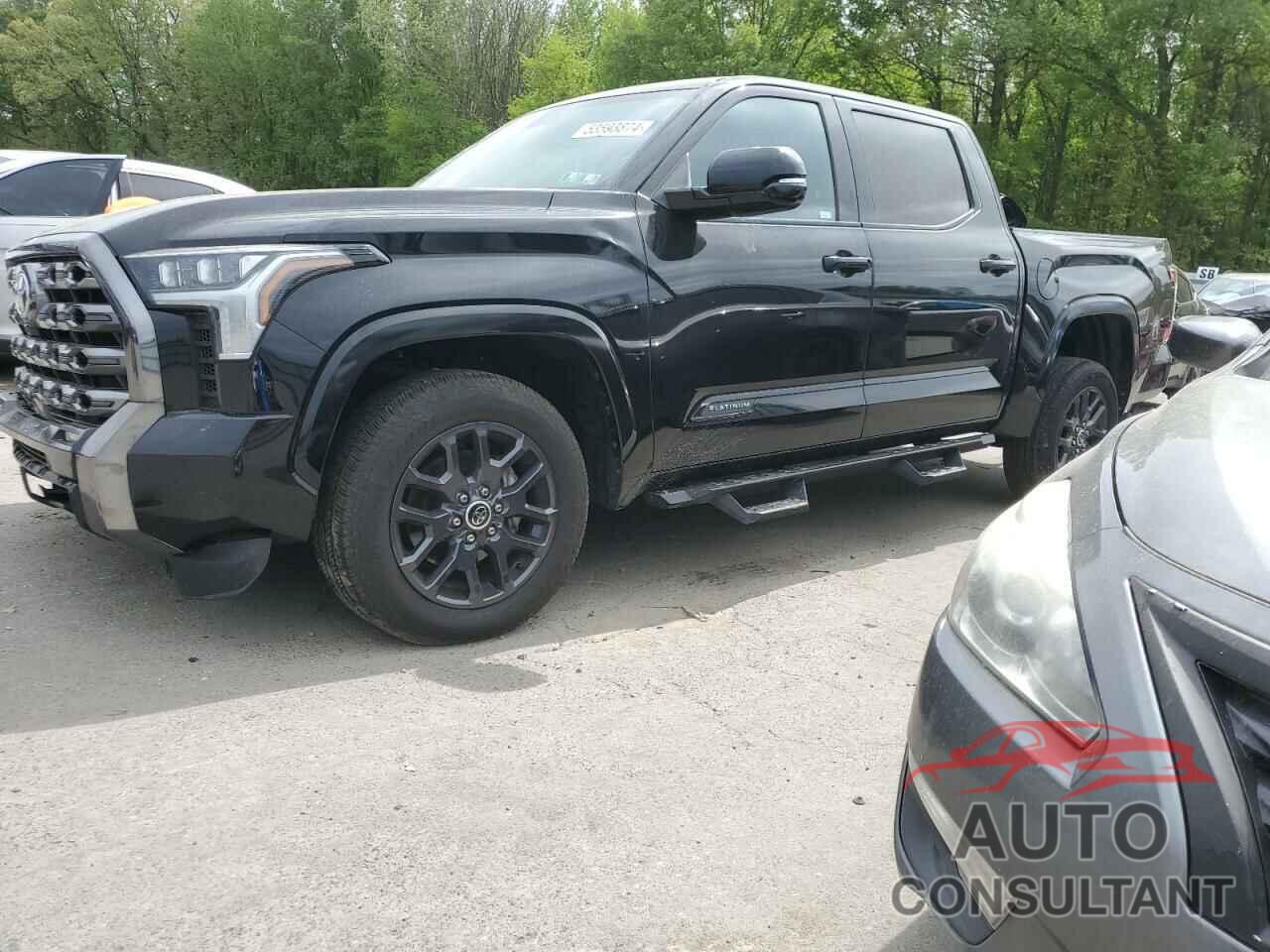 TOYOTA TUNDRA 2023 - 5TFNA5DB2PX123571