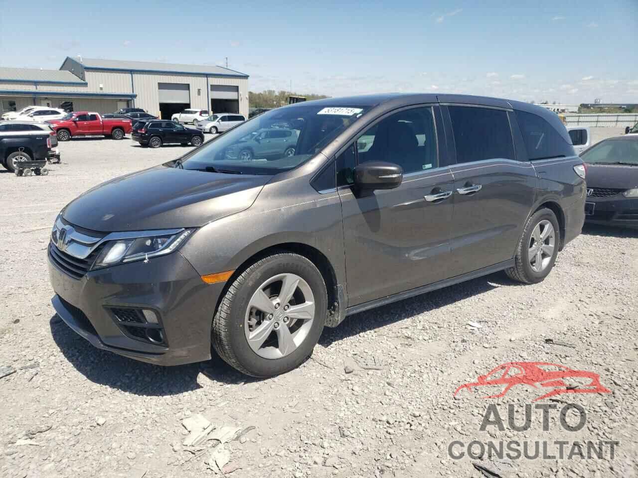 HONDA All Models 2019 - 5FNRL6H79KB128437