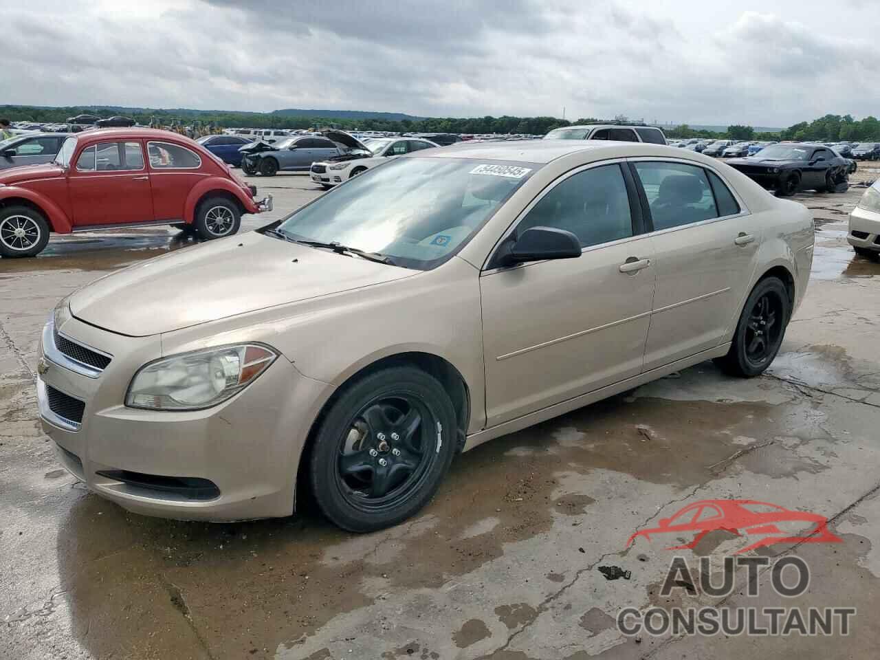 CHEVROLET MALIBU 2010 - 1G1ZB5EB7AF206674