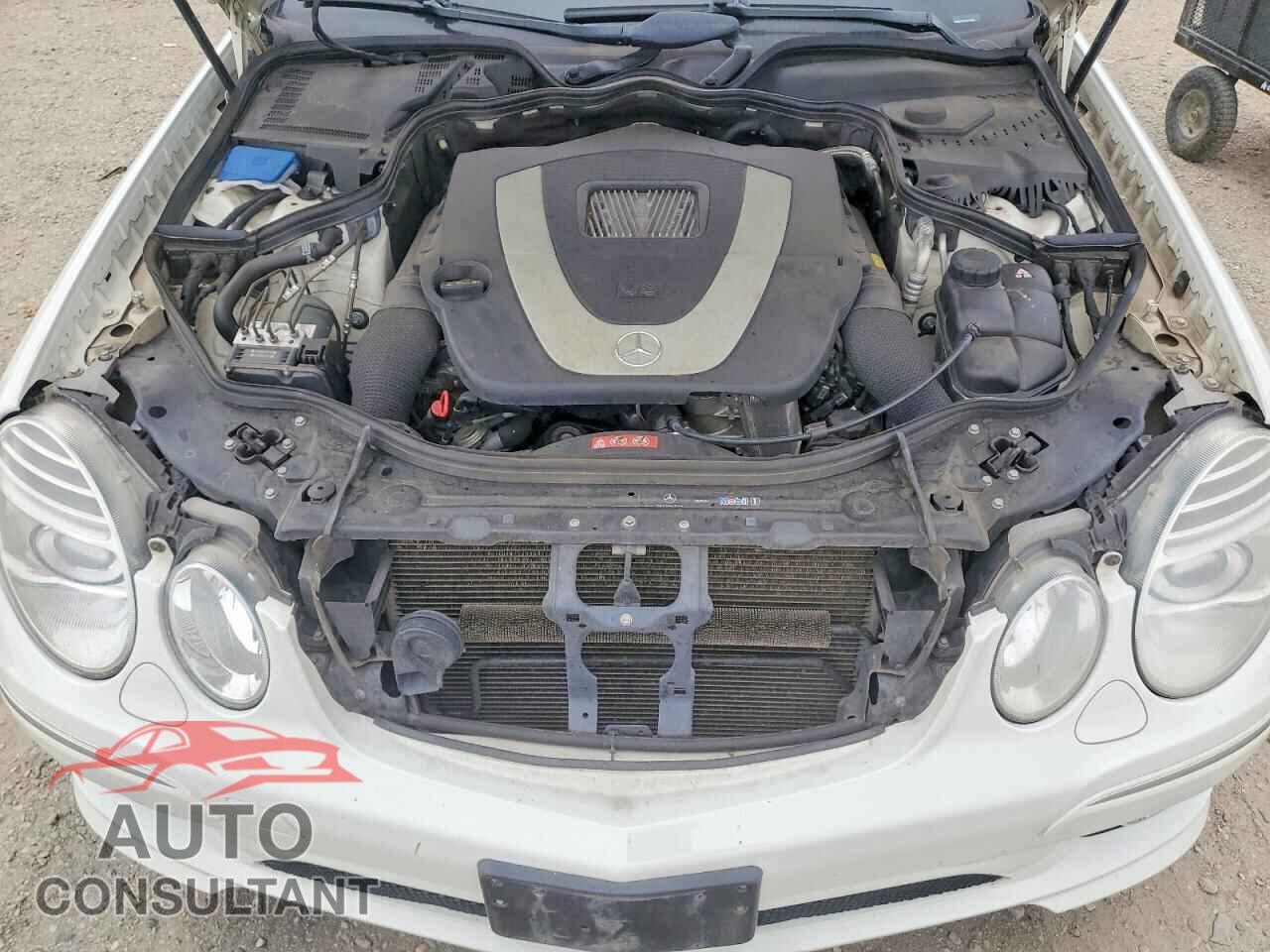 MERCEDES-BENZ E-CLASS 2009 - WDBUF87X49B391395