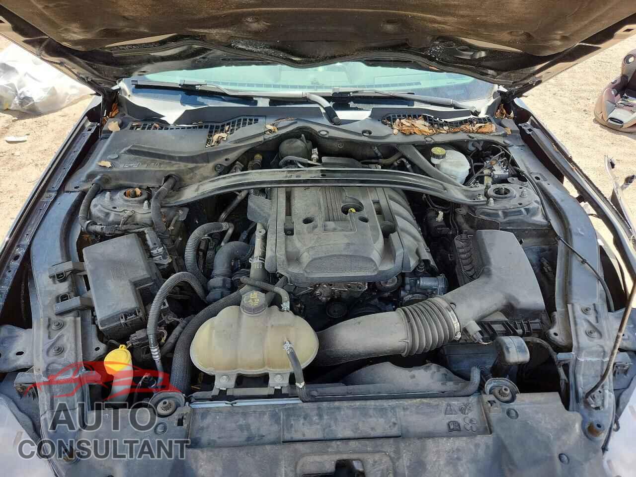 FORD MUSTANG 2018 - 1FA6P8THXJ5159429