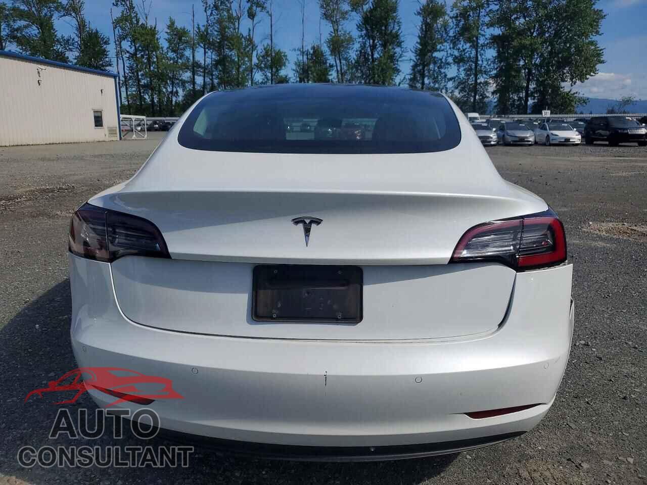 TESLA MODEL 3 2020 - 5YJ3E1EA4LF709025