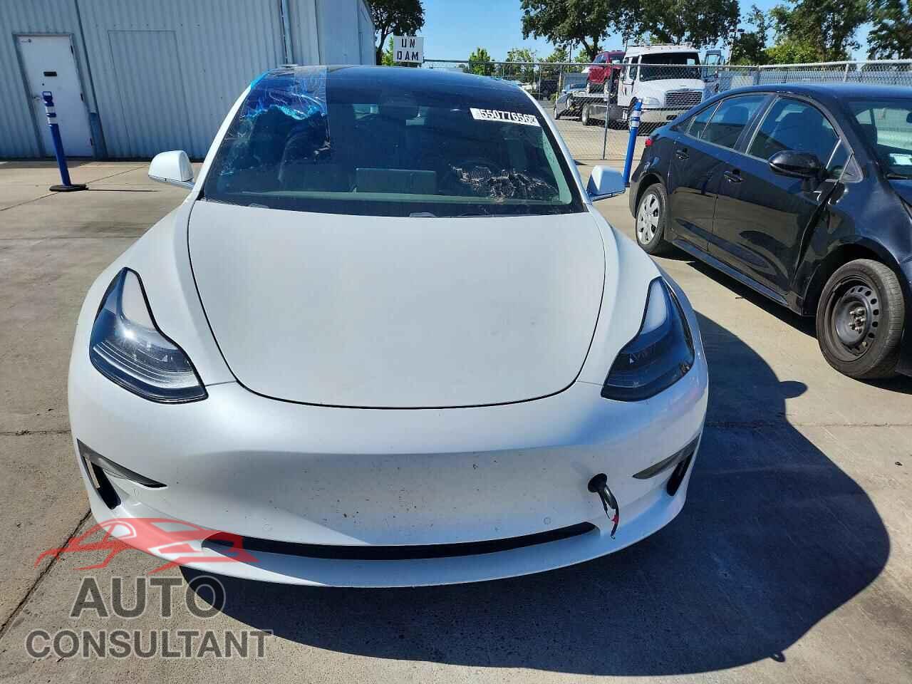 TESLA MODEL 3 2019 - 5YJ3E1EB2KF452891