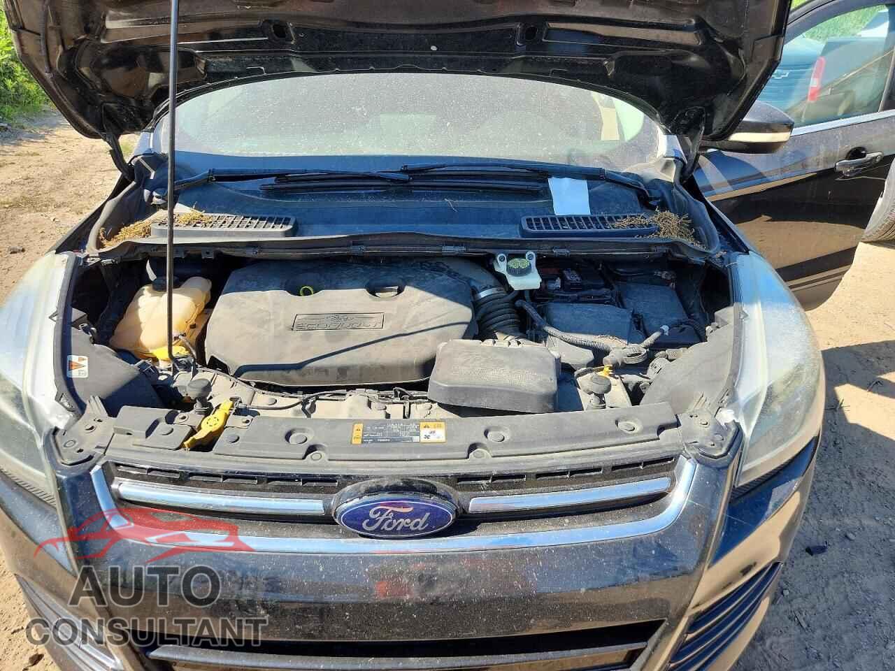 FORD ESCAPE 2014 - 1FMCU9J90EUB66937