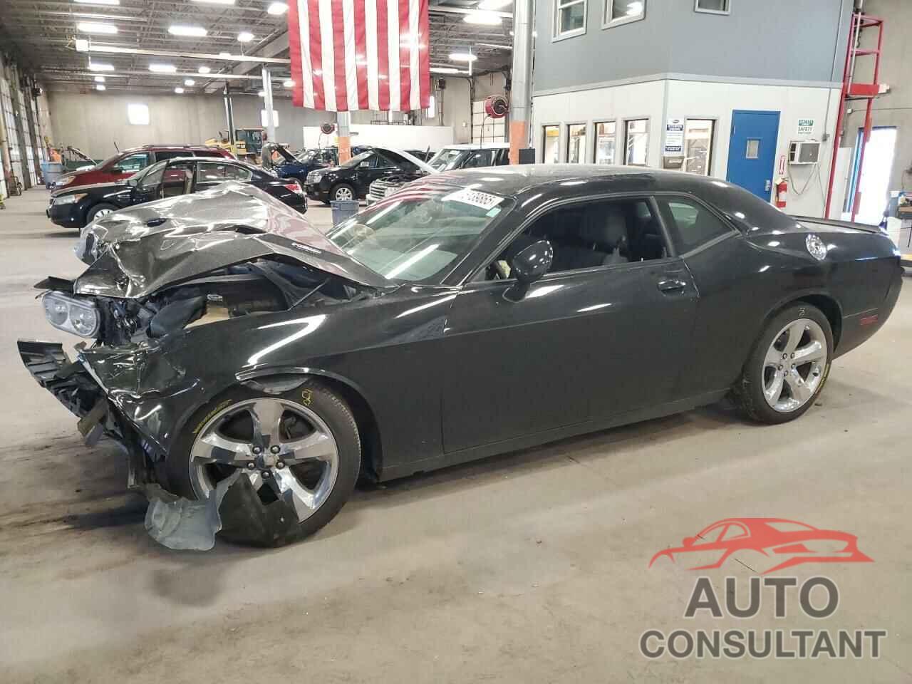 DODGE CHALLENGER 2013 - 2C3CDYBT9DH501059