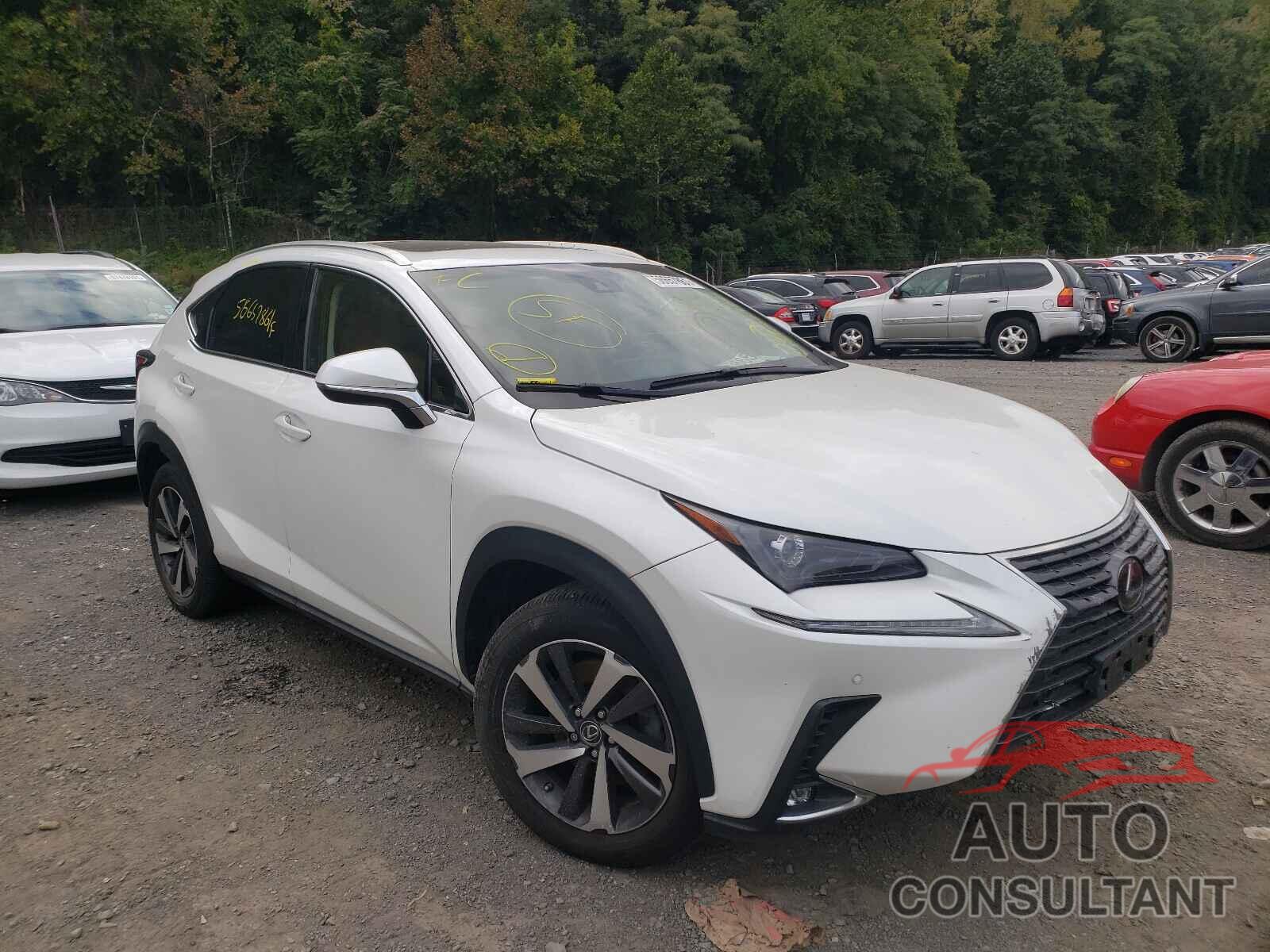 LEXUS NX 2018 - JTJBARBZ1J2176774