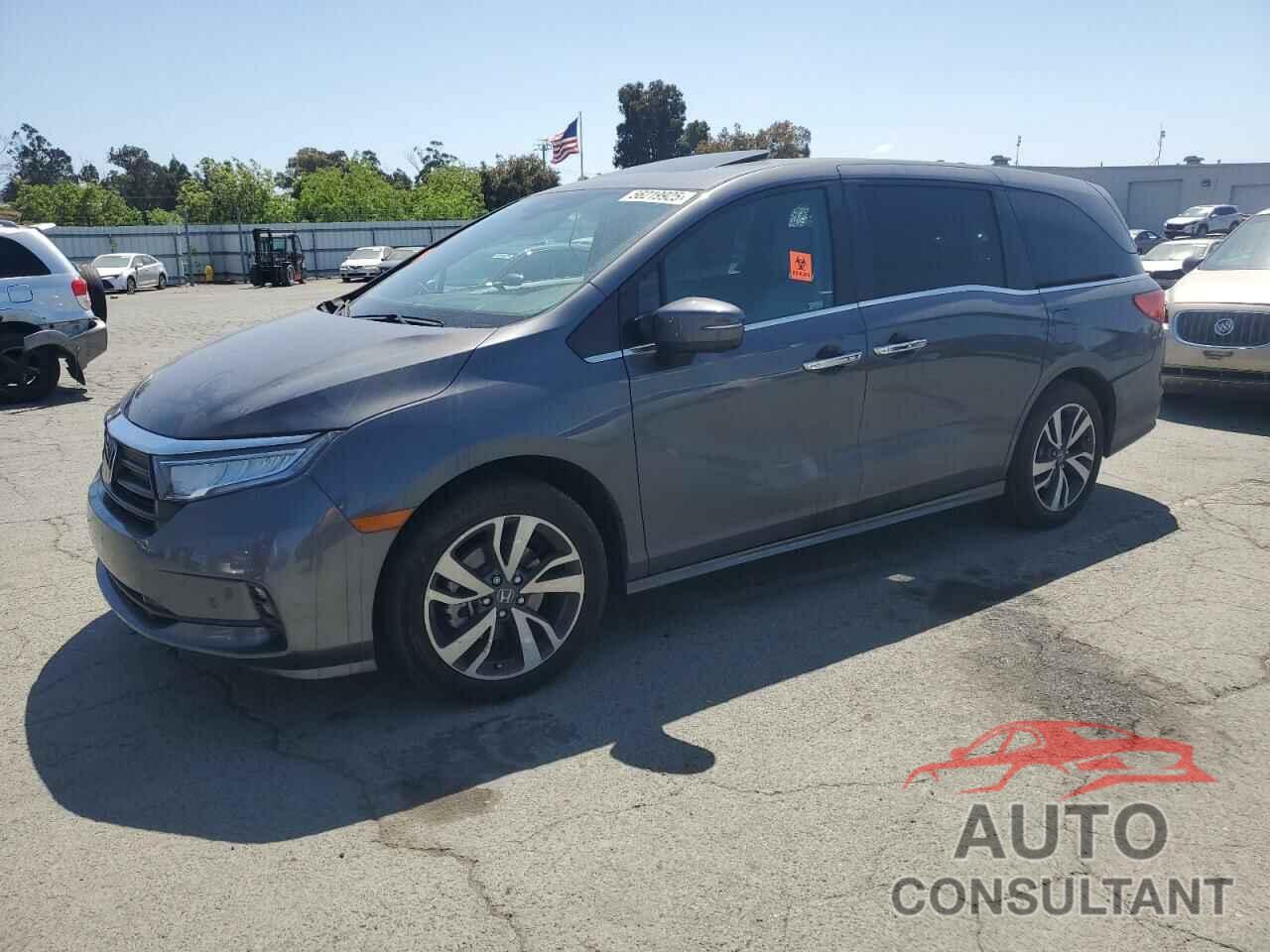 HONDA ODYSSEY 2023 - 5FNRL6H81PB024055