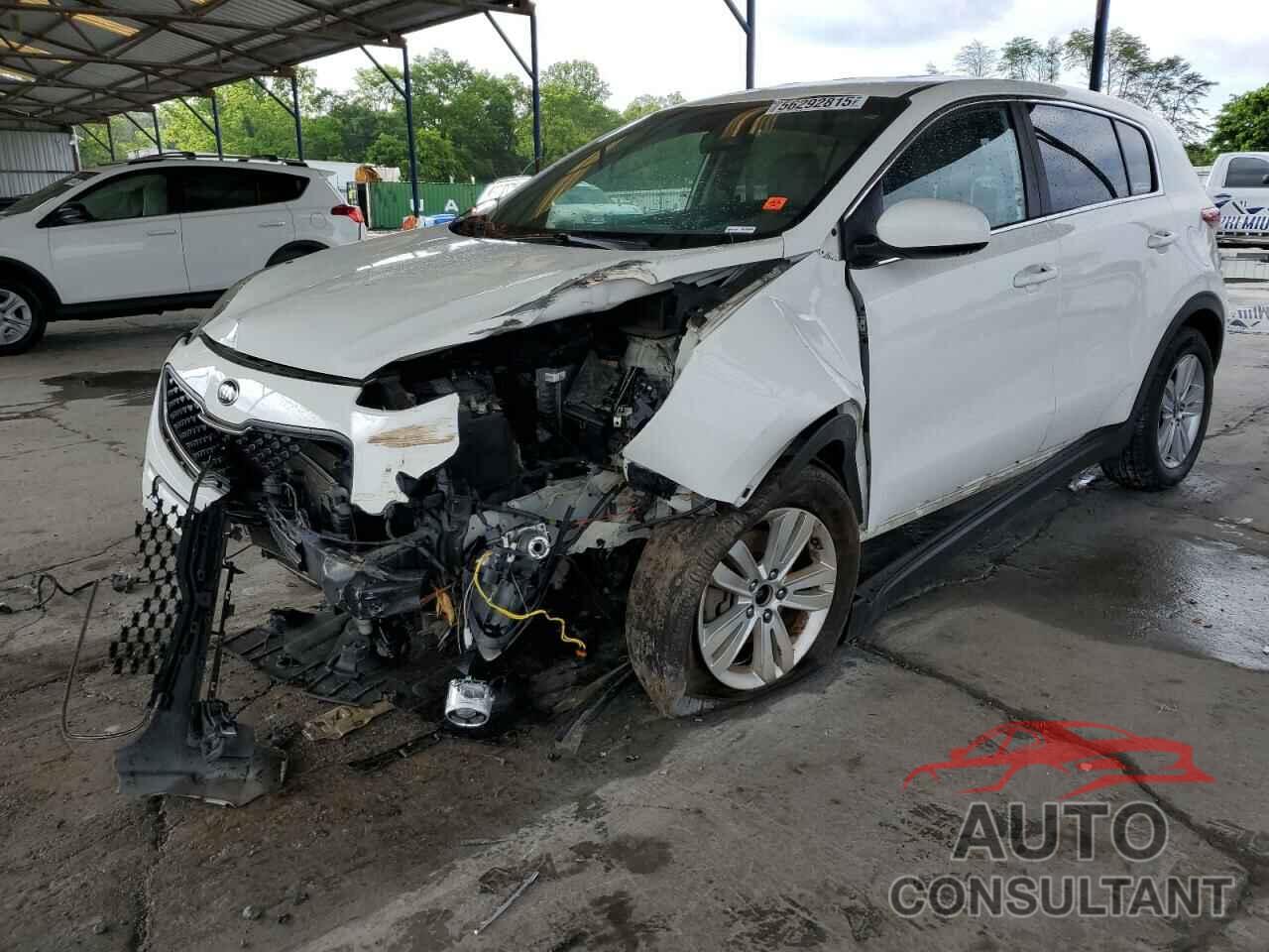 KIA SPORTAGE 2019 - KNDPM3AC3K7540532