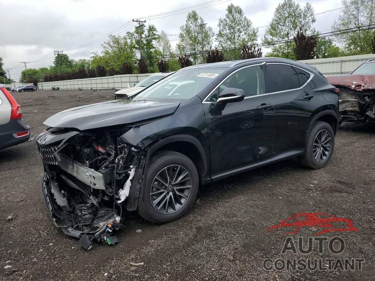 LEXUS NX 350 PRE 2025 - 2T2GGCEZ0SC080990