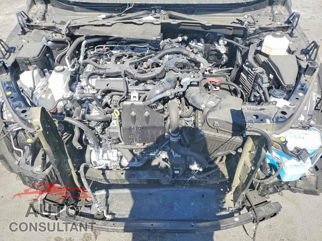 LEXUS UNKNOWN 2026 - 5TDAAAB65TS060026